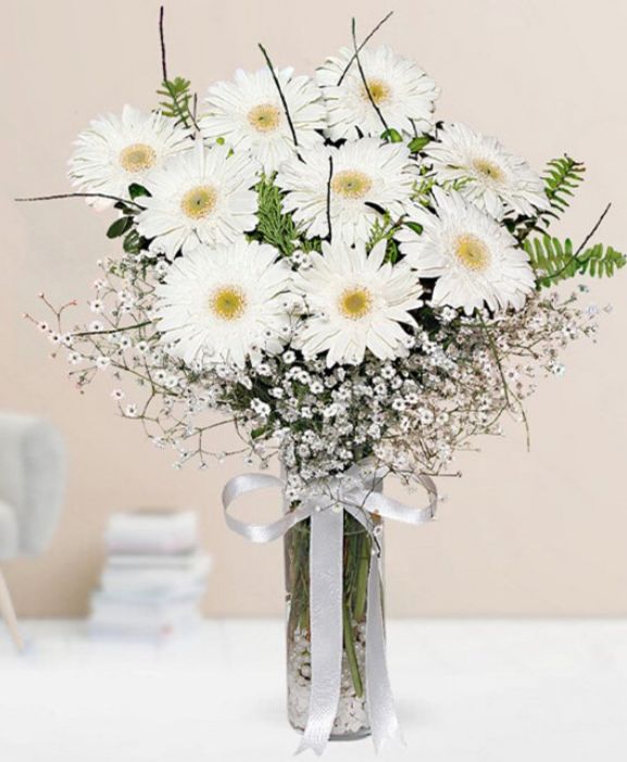 Vazoda Beyaz Cerbere