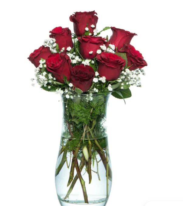 Vazoda Kırmızı Gül