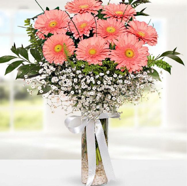 Vazoda Pembe Cerbere