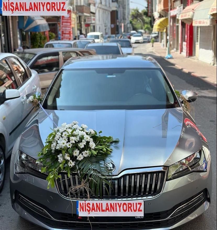 Canlı Araba Süsü Papatya