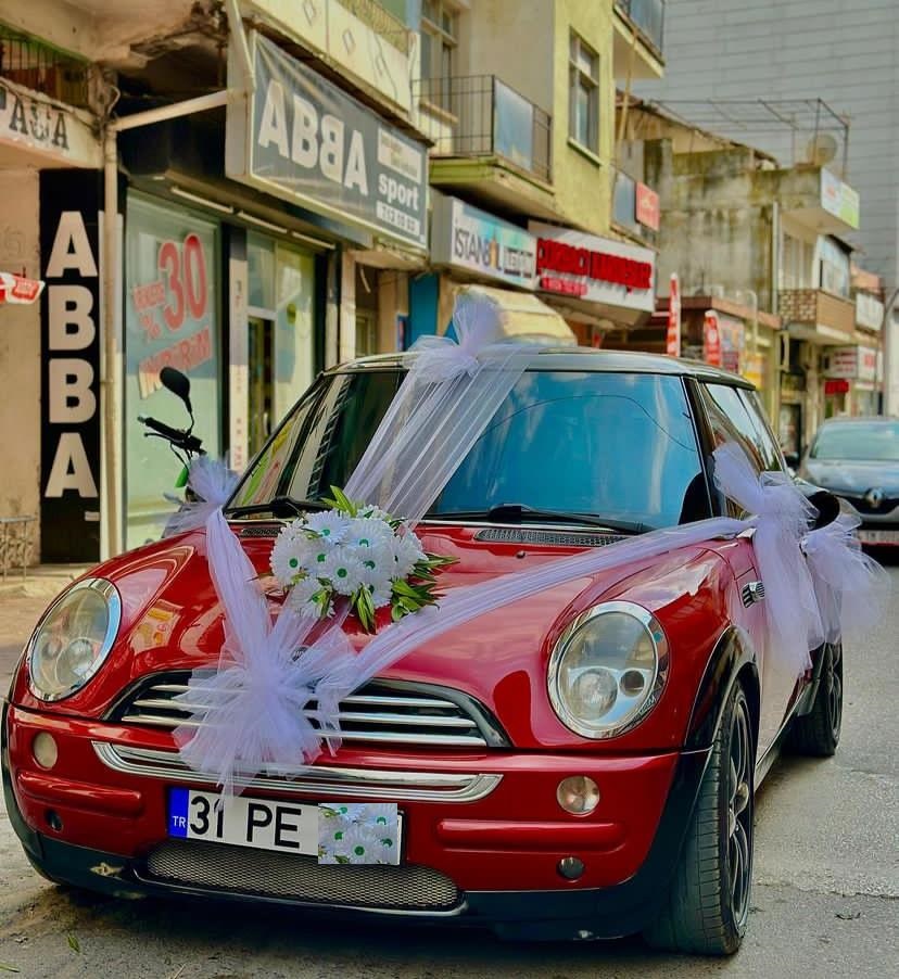 Araba Süsü Yapay
