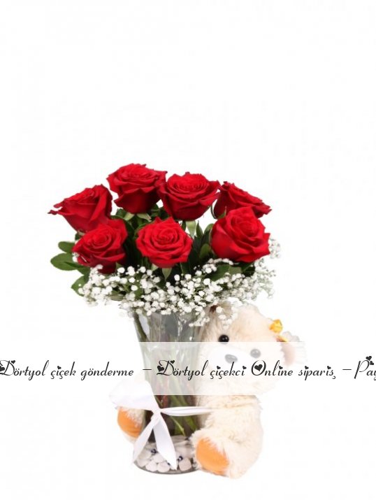 VAZODA 7 GÜL VE AYICIK